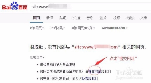 百度快速收录新网站策略插图