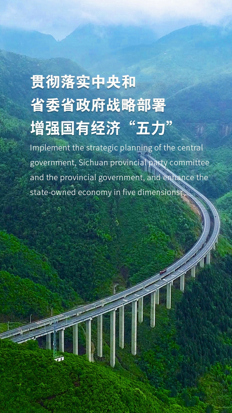 成都建网站公司的蓬勃发展插图