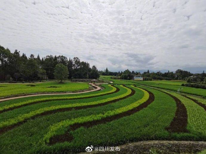 都江堰水利工程公告插图