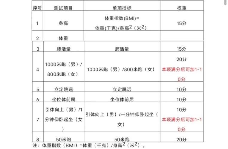 大学体质测试权重解析插图