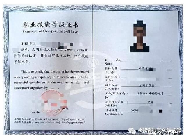 高级网络管理员证书查询，探索与理解插图