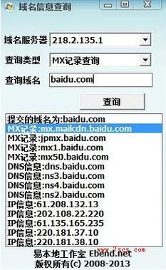 公信域名查询，解析域名信息，保障网络安全的重要工具插图