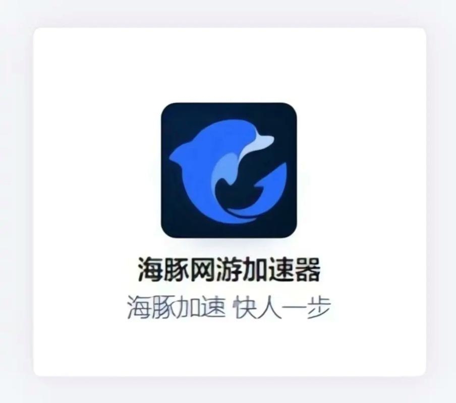 海豚加速器破解，探索技术与应用的边界插图