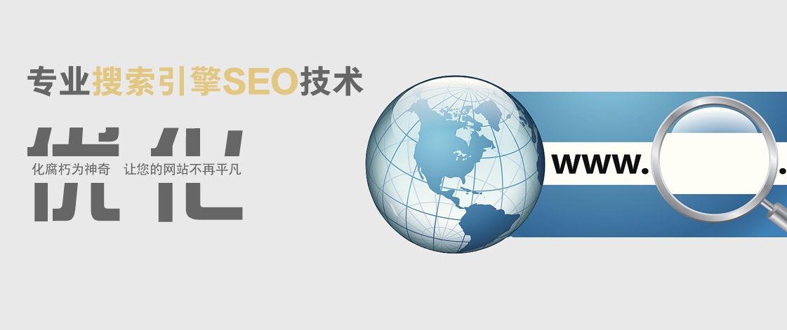 合肥建站公司SEO，引领网站建设的先锋力量插图