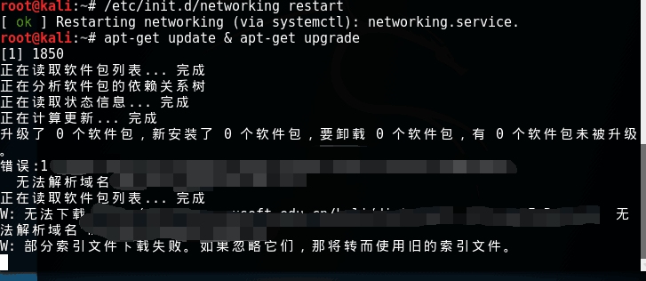 解决Kali Linux域名解析失败问题插图