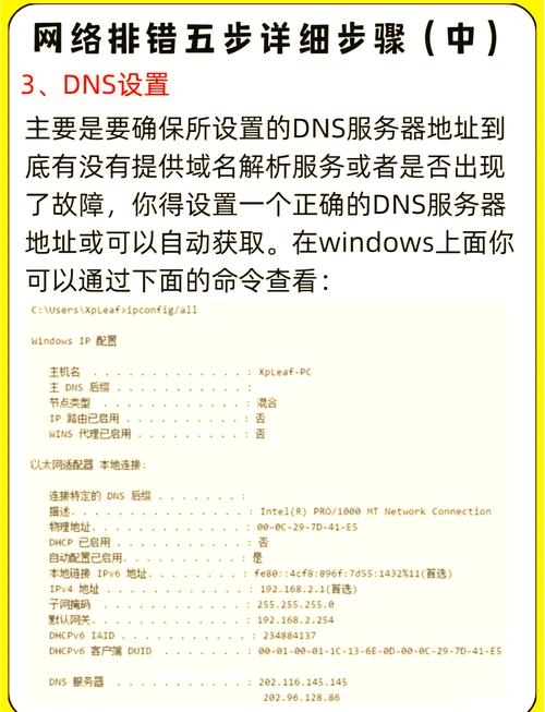 科莱网络分析系统无法找到网络适配器的问题解析插图