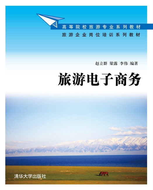 旅游电子商务网站建设的核心目的与现状展望，助力旅游业创新升级。插图