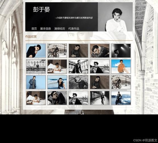 明星网页设计中图片的运用与设计插图