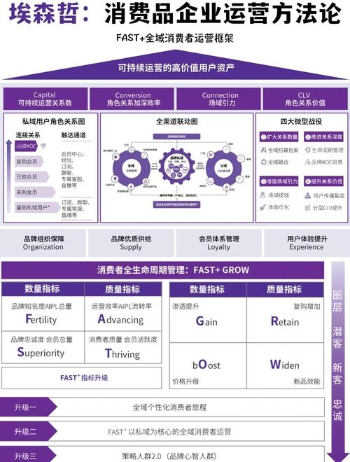 内链优化与重要性，提升网站效能的关键策略插图