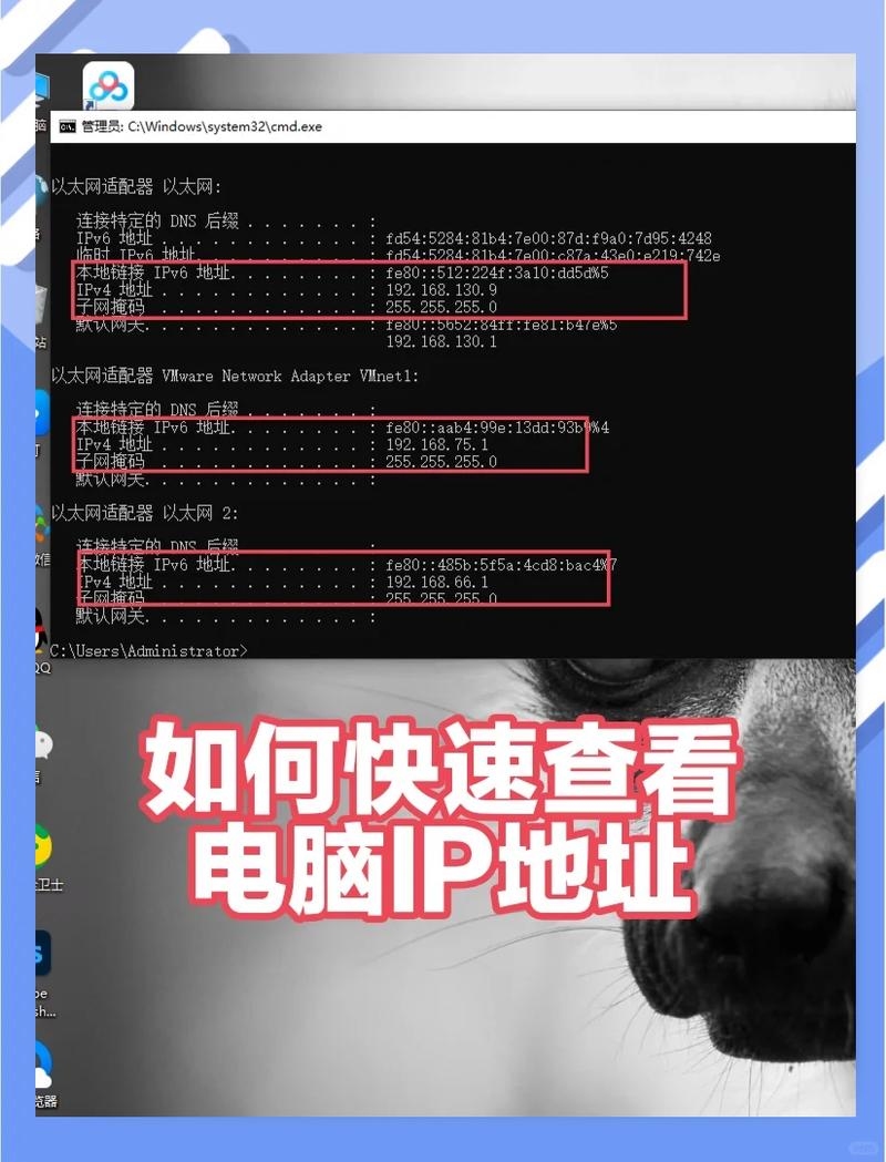 如何查看好友的IP地址插图