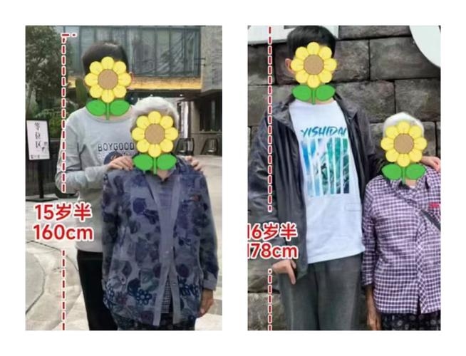 身高与体型，Height与Build的区别插图