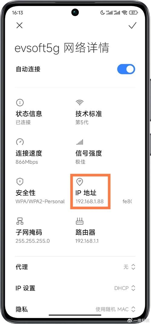手机快速查服务器IP方法插图
