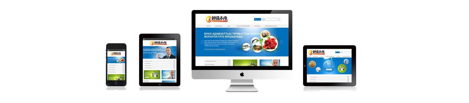深圳网站制作公司推荐插图
