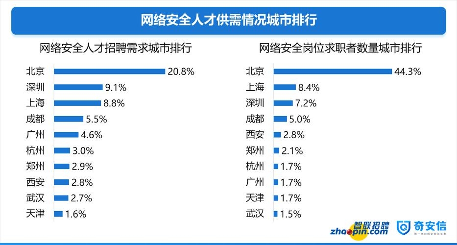 网络空间安全工程师的就业前景展望插图 网络空间安全工程师的就业前景展望插图