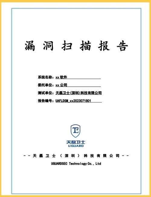 网站漏洞扫描器导师问题探讨插图