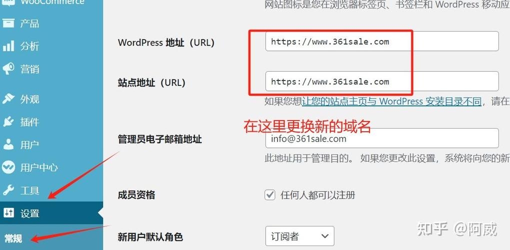网站域名能否更改及更换域名的利弊分析，详细操作步骤介绍与注意事项提醒。插图