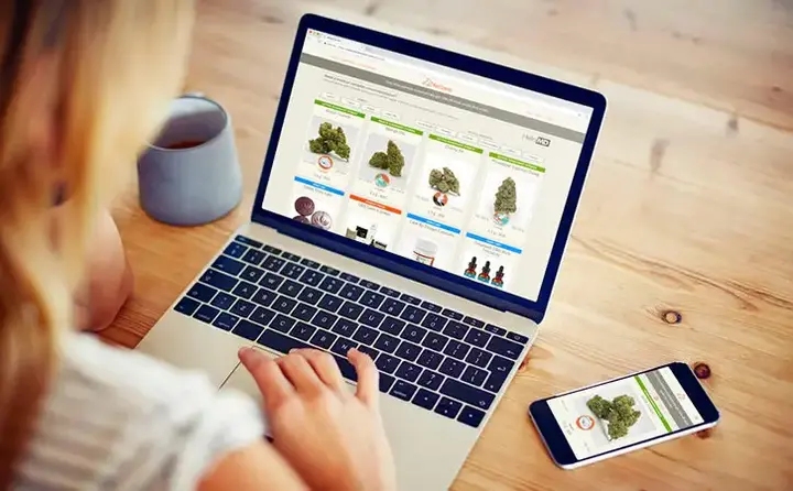 网站主题介绍插图