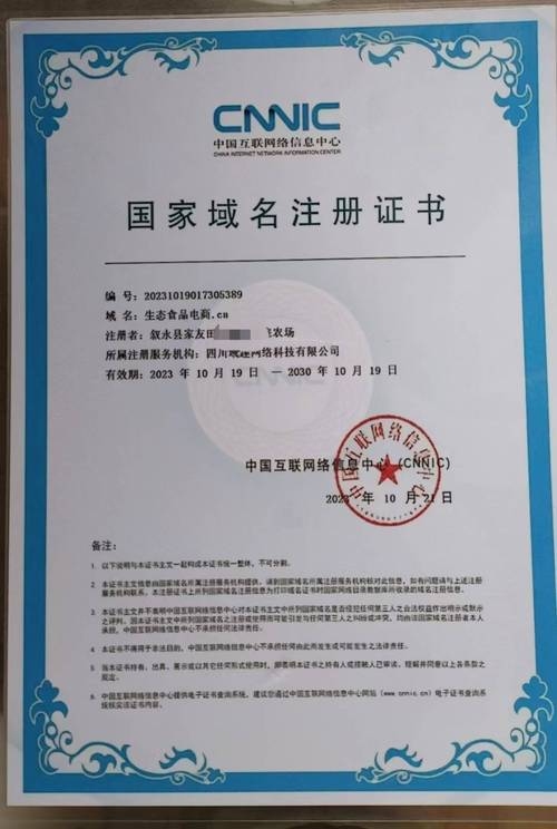 域名的正确格式是什么？插图