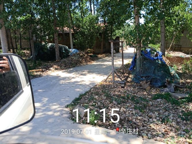 西山区旺视网络工作室与东旺乡辛庄村金融、生态及地推服务介绍和高考体考新评分标准须知插图