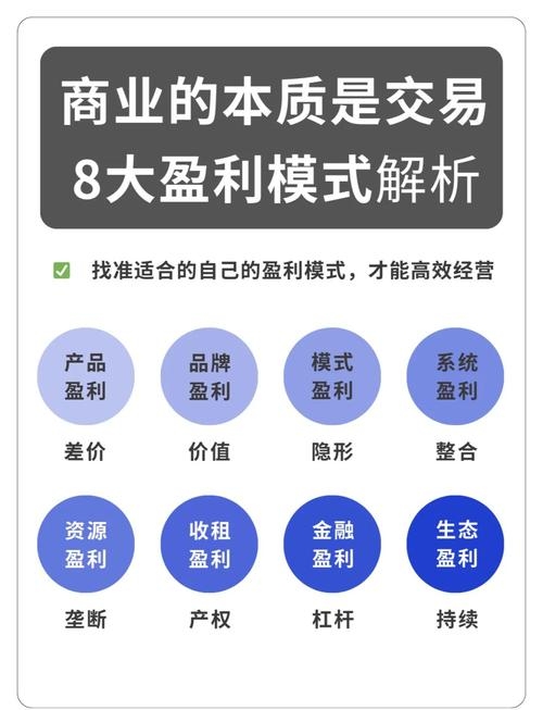 小网站盈利途径解析，广告收入、会员订阅等多元化模式赚钱之道插图