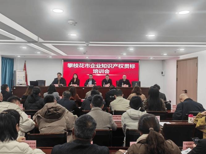 攀枝花，专业装饰与知识产权服务领军企业插图