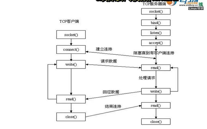 TCP Socket编程,建立连接、数据传输及关键概念解读插图 TCP Socket编程,建立连接、数据传输及关键概念解读插图