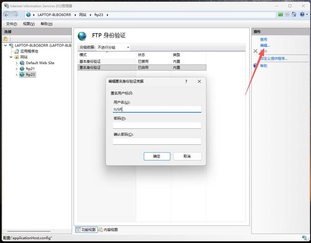 FTP搭建教程，Windows IIS FTP站点设置插图