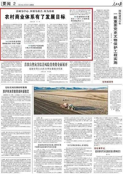 SEO学习问答，执行力与基础要点插图