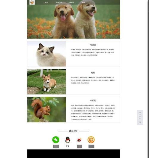 HTML网页设计代码登陆详解插图
