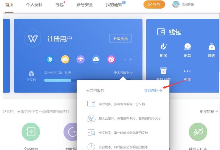 WPS云空间不足的解决方案与优化建议插图
