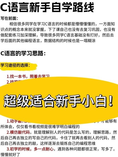 C语言入门自学书指南插图
