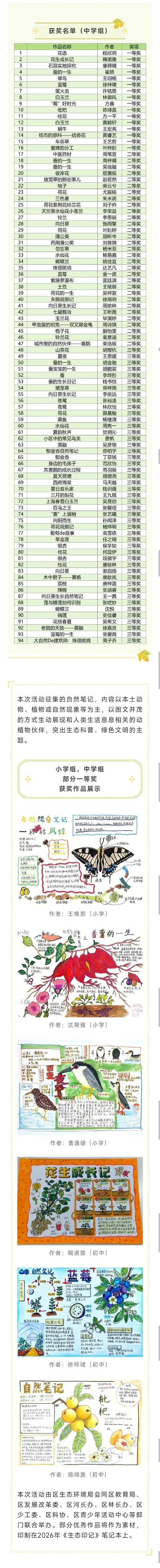 叶子二级域名分发，探索与实践插图