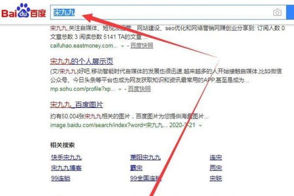 百度快照投诉入口暂停及新处理流程解读，如何应对官方系统批量删除快照的调整？-后浪派