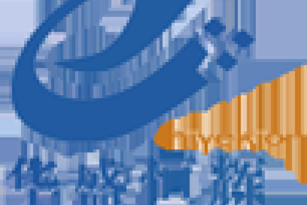 北京软件公司排行榜，华盛恒辉领跑，值得关注的有锐智互动-后浪派