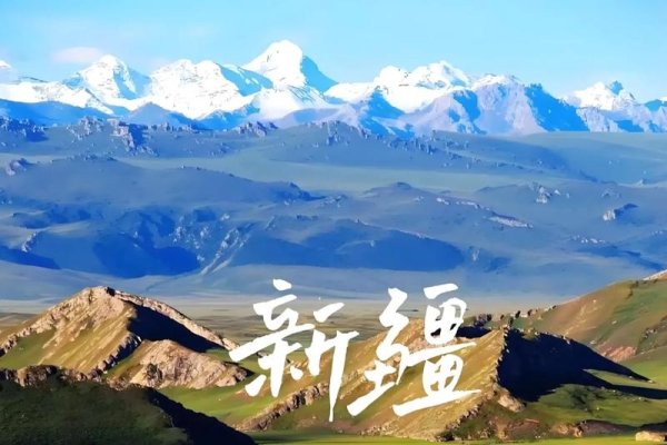 巴音郭楞蒙古自治州抖音SEO策略与实践-后浪派