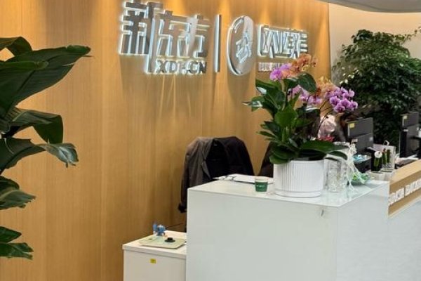 成都专业网站营销优化公司，宜新惠信与迈漫芬推荐-后浪派