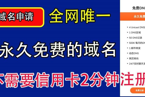 成功申请域名的喜悦-后浪派