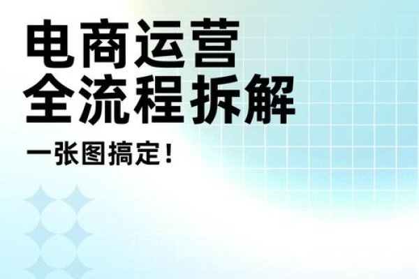 电商流量运营，策略与实践-后浪派