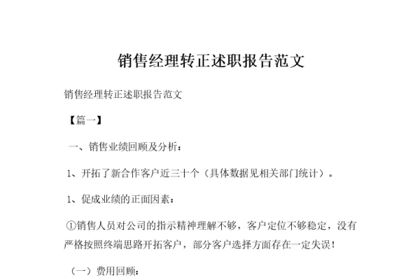 电商运营转正述职报告及工作计划概览,或者简化为,,运营工作汇报与未来计划展望-后浪派