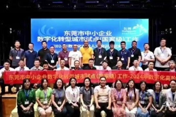 东莞寮步网络公司，引领数字化转型的先锋力量-后浪派