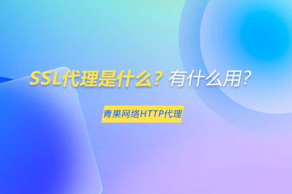东莞整站优化代理，提升网站效能的秘密武器-后浪派