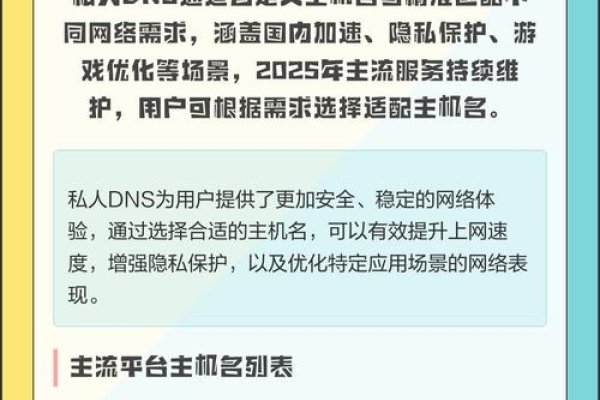 国内私人DNS提供商主机名概述-后浪派