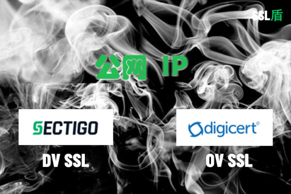 公网IP绑定了SSL证书后域名能否再绑定取决于服务提供商的规定。可以参考相关法规和规定，结合具体情况具体分析处理问题以确保网站的稳定性和安全性为前提条件来展开相关工作任务的安排部署和落实执行的闭环管理流程的实施方案的制定与实施力的强化和管理效能的提高为主要内容的综合施策的过程控制关键环节的有效把控和资源要素的合理配置和利用率的提升。-后浪派