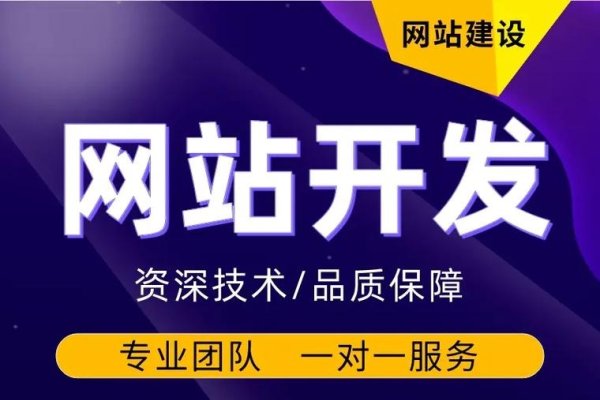 关于网站建设公司哪家靠谱的专业团队选择参考，或者简化为，专业网站与VI设计建设团队的优选指南-后浪派