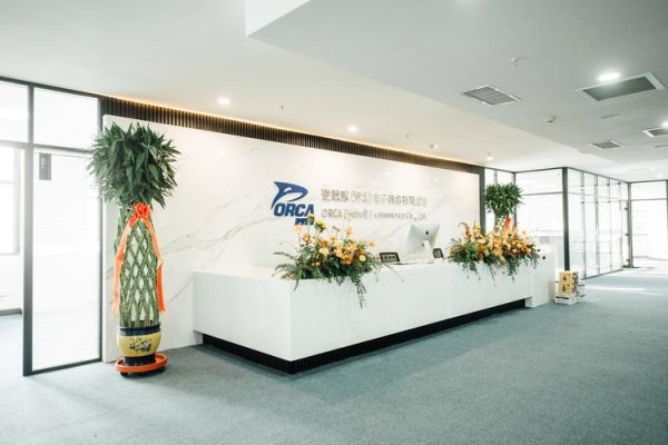 河北的网络公司大全-后浪派