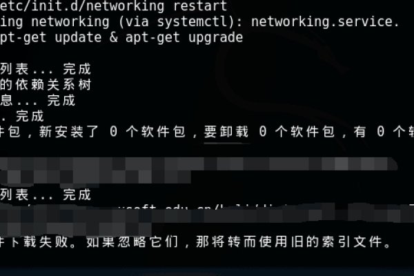 解决Kali Linux域名解析失败问题-后浪派