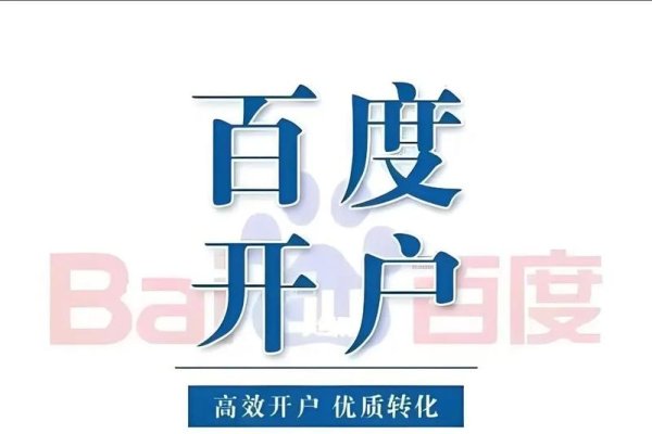 济南百度推广SEO，打造企业在互联网上的新高度-踏云行