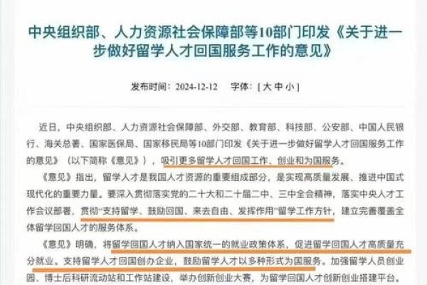 就业服务工作站建设规范与留学人才回国服务策略-后浪派