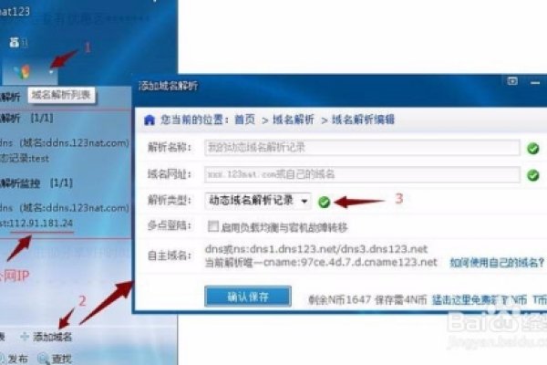 基于您提供的内容，以下是一个可能的标题，，nat123动态域名解析VIP教程及优势分析，使用指南与费用概览。-后浪派