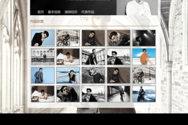 明星网页设计中图片的运用与设计-后浪派